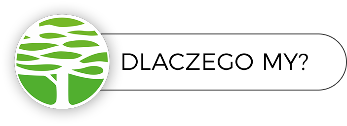 Dlaczego My Dlaczego My